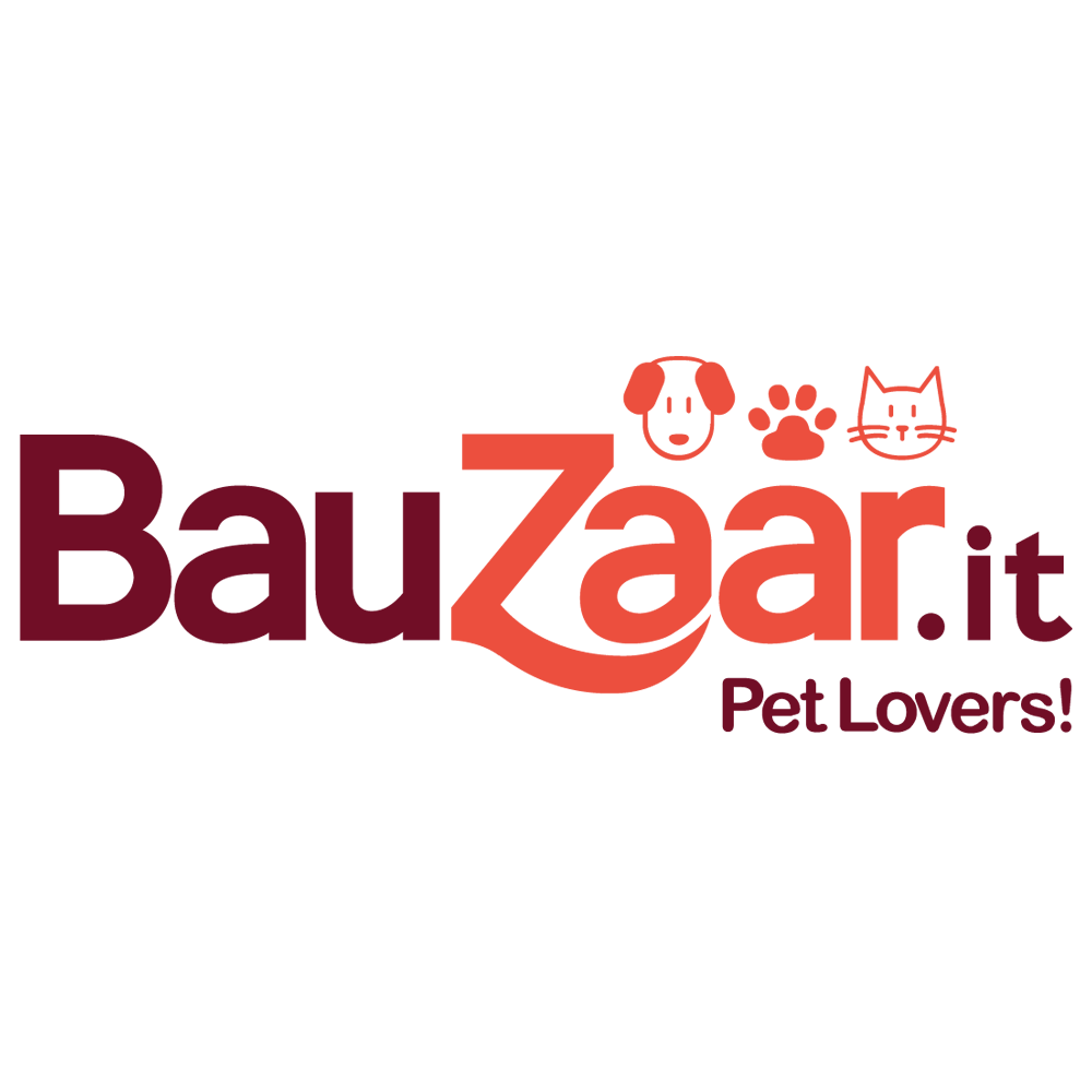 Bauzaar
