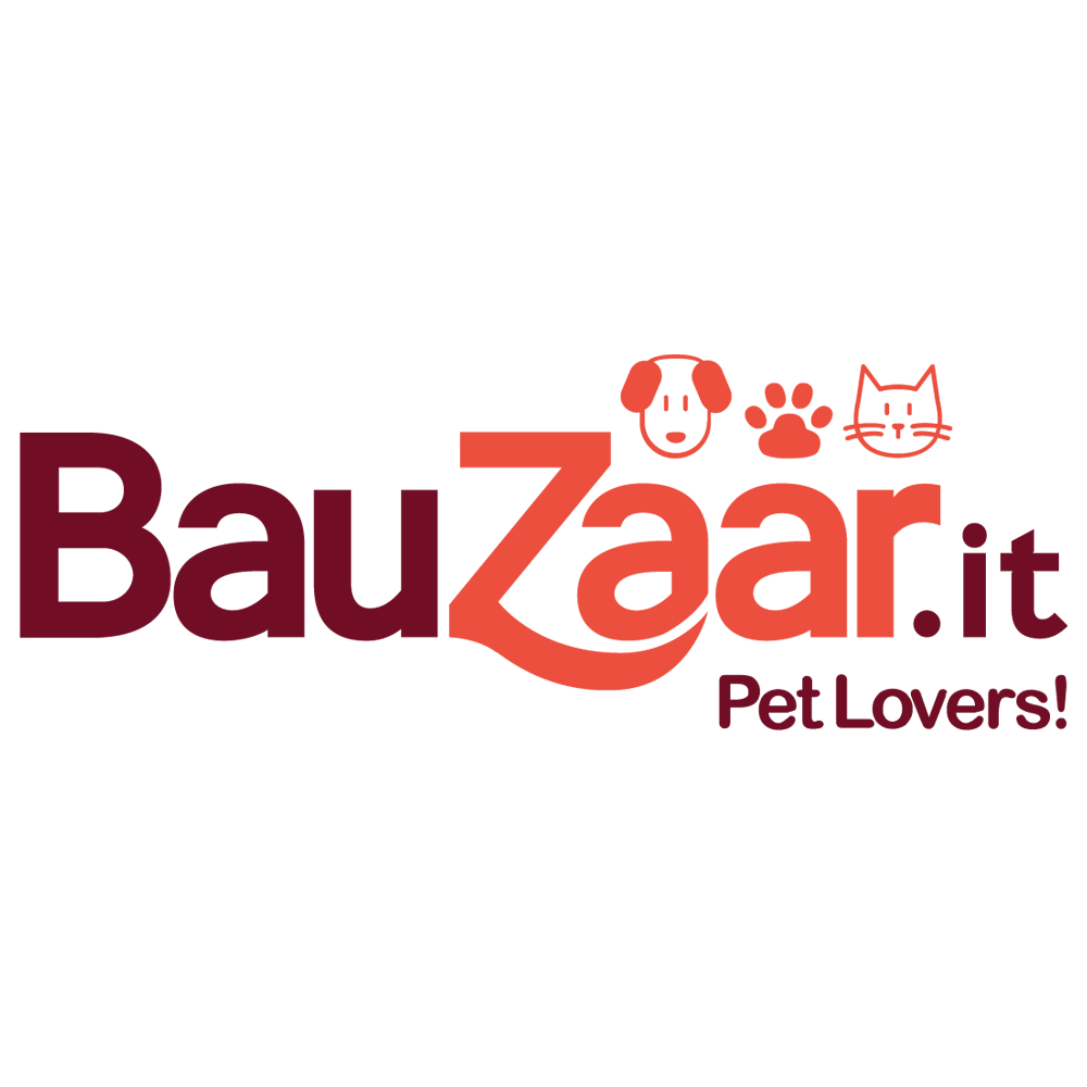 BauZaar