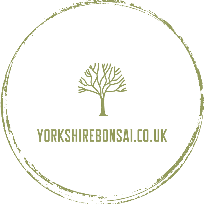 Yorkshire Bonsai